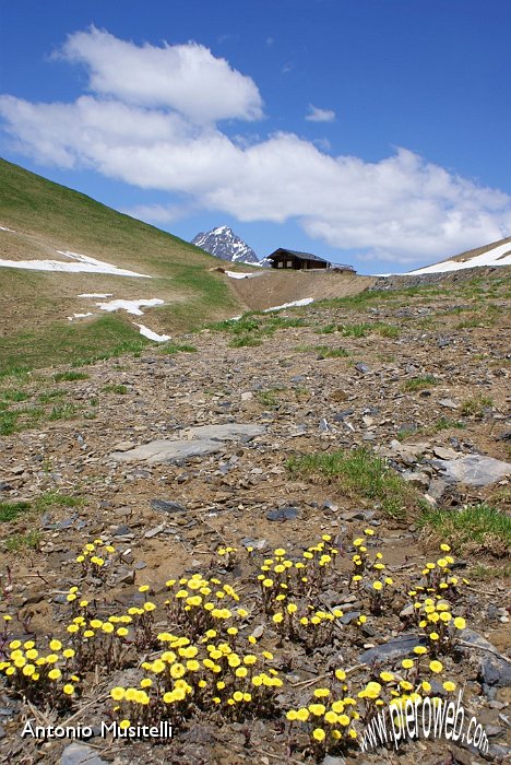 17 Rifugio Mirtillo.jpg